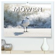 Möwen am Meer (hochwertiger Premium Wandkalender 2026 DIN A2 quer), Kunstdruck in Hochglanz - Robert Styppa