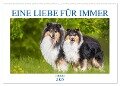 Eine Liebe für immer - Collies (Wandkalender 2025 DIN A2 quer), CALVENDO Monatskalender - Sigrid Starick