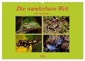 Die wunderbare Welt der Amphibien (Wandkalender 2024 DIN A2 quer), CALVENDO Monatskalender - Winfried Erlwein