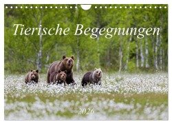 Tierische Begegnungen (Wandkalender 2026 DIN A4 quer), CALVENDO Monatskalender - Daniela Beyer (Moqui)