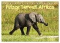 Putzige Tierwelt Afrikas (Tischkalender 2024 DIN A5 quer), CALVENDO Monatskalender - Nadine Haase