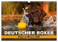 Deutscher Boxer - Boxer im Wasser 2024 (Wandkalender 2024 DIN A3 quer), CALVENDO Monatskalender - Kerstin Mielke