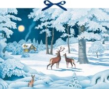 Cover-Bild zum Titel 'Wand-Adventskalender - Wintertiere bei Nacht' von ''