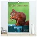 Eichhörnchen (hochwertiger Premium Wandkalender 2025 DIN A2 hoch), Kunstdruck in Hochglanz - SchnelleWelten SchnelleWelten