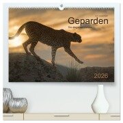 Geparden. Die eleganten Katzen. (hochwertiger Premium Wandkalender 2026 DIN A2 quer), Kunstdruck in Hochglanz - Lucyna Koch