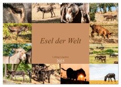 Esel der Welt - Lieblings Langohren (Wandkalender 2025 DIN A2 quer), CALVENDO Monatskalender - Meike Bölts