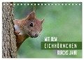 Mit dem Eichhörnchen durchs Jahr (Tischkalender 2024 DIN A5 quer), CALVENDO Monatskalender - Margret Brackhan