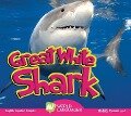 Great White Shark - Karen Durrie