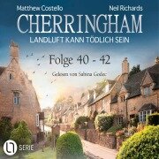 Folge 40-42 - Matthew Costello, Neil Richards