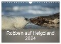 Robben auf Helgoland 2024 (Wandkalender 2024 DIN A4 quer), CALVENDO Monatskalender - Stefan Leimer