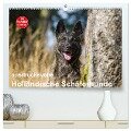 ausdrucksvolle Holländische Schäferhunde (hochwertiger Premium Wandkalender 2025 DIN A2 quer), Kunstdruck in Hochglanz - Fotodesign Verena Scholze