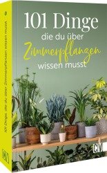 wassermelone zimmerpflanze Peperomia argyreia 'Watermelon' kaufen
