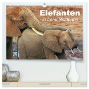 Elefanten in freier Wildbahn (hochwertiger Premium Wandkalender 2025 DIN A2 quer), Kunstdruck in Hochglanz - Elisabeth Stanzer