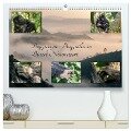 Begegnungen - Berggorillas im Bwindi Nationalpark (hochwertiger Premium Wandkalender 2024 DIN A2 quer), Kunstdruck in Hochglanz - Marisa Jorda-Motzkau