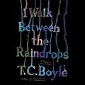 I Walk Between the Raindrops: Stories - T. C. Boyle