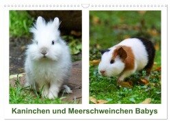 Kaninchen und Meerschweinchen Babys (Wandkalender 2025 DIN A3 quer), CALVENDO Monatskalender - Kattobello Kattobello