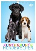 Kunterbunte Hundewelpen (Wandkalender 2024 DIN A4 hoch), CALVENDO Monatskalender - Judith Dzierzawa - DoraZett