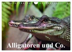 Alligatoren und Co. (Wandkalender 2025 DIN A4 quer), CALVENDO Monatskalender - Elisabeth Stanzer