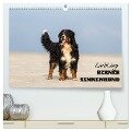 Liebling BERNER SENNENHUND (hochwertiger Premium Wandkalender 2025 DIN A2 quer), Kunstdruck in Hochglanz - Www. Annettmirsberger. de Mirsberger