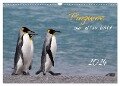 Pinguine aus aller Welt (Wandkalender 2024 DIN A3 quer), CALVENDO Monatskalender - Brigitte Schlögl