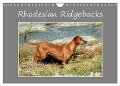 Rhodesian Ridgebacks (Wandkalender 2024 DIN A4 quer), CALVENDO Monatskalender - Anke van Wyk - www. germanpix. net