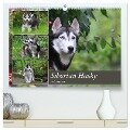 Siberian Husky - Welpenstube (hochwertiger Premium Wandkalender 2024 DIN A2 quer), Kunstdruck in Hochglanz - Barbara Mielewczyk