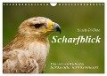 Scharfblick (Wandkalender 2024 DIN A4 quer), CALVENDO Monatskalender - Ursula Di Chito