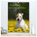 Tender Fellows - Parson Russell Terrier (hochwertiger Premium Wandkalender 2024 DIN A2 hoch), Kunstdruck in Hochglanz - Maike Clüver