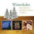 Winterludes - Al/James Di Meola