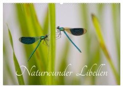Cover-Bild zum Titel 'Naturwunder Libellen (Wandkalender 2026 DIN A2 quer), CALVENDO Monatskalender' von 'Renee Söhner - Morgensraus'