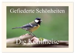 Gefiederte Schönheiten - Die Kohlmeise (Wandkalender 2025 DIN A2 quer), CALVENDO Monatskalender - Rolf Pötsch