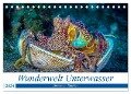 Wunderwelt Unterwasser (Tischkalender 2024 DIN A5 quer), CALVENDO Monatskalender - Dieter Gödecke