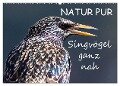 NATUR PUR - Singvögel ganz nah (Wandkalender 2024 DIN A2 quer), CALVENDO Monatskalender - Karin Dietzel