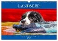 Landseer - Ein starker Freund auf 4 Pfoten (Wandkalender 2025 DIN A3 quer), CALVENDO Monatskalender - Sigrid Starick