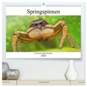 Faszination Makrofotografie: Springspinnen (hochwertiger Premium Wandkalender 2026 DIN A2 quer), Kunstdruck in Hochglanz - Alexander Mett Photography