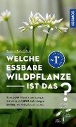 Cover-Bild zum Titel 'Welche essbare Wildpflanze ist das?' von 'Christa Bastgen, Berko Schröder, Stefanie Zurlutter'