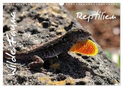 Wilde Fauna - Reptilien (Wandkalender 2025 DIN A3 quer), CALVENDO Monatskalender - Uwe Bade Ralf Emmerich