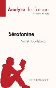 Sérotonine de Michel Houellebecq (Analyse de l'oeuvre) - Jessica Hermans