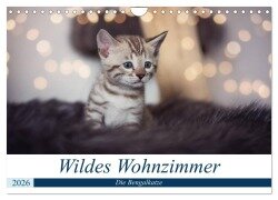 Wildes Wohnzimmer - Die Bengalkatze (Wandkalender 2026 DIN A4 quer), CALVENDO Monatskalender - Robyn meets Elos Photography