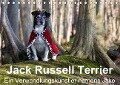 Jack Russell Terrier - Ein Verwandlungskünstler namens Jake / Geburtstagskalender (Tischkalender immerwährend DIN A5 quer) - Susanne Schröder