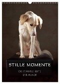 Stille Momente - Die sensible Seite der Hunde (Wandkalender 2024 DIN A3 hoch), CALVENDO Monatskalender - Jana Behr