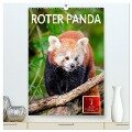Roter Panda (hochwertiger Premium Wandkalender 2024 DIN A2 hoch), Kunstdruck in Hochglanz - Peter Roder
