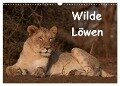 Wilde Löwen (Wandkalender 2024 DIN A3 quer), CALVENDO Monatskalender - Britta Ohm