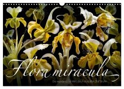 Flora miracula - Die wundersame Welt des Fotografen Olaf Bruhn (Wandkalender 2026 DIN A3 quer), CALVENDO Monatskalender - Olaf Bruhn