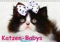 Katzen-Babys (Wandkalender immerwährend DIN A4 quer) - Elisabeth Stanzer
