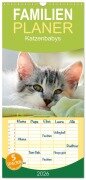 Cover-Bild zum Titel 'Familienplaner 2026 - Katzenbabys mit 5 Spalten (Wandkalender, 21 x 45 cm) CALVENDO' von ''