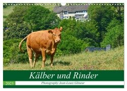Kälber und Rinder (Wandkalender 2025 DIN A3 quer), CALVENDO Monatskalender - Jean-Louis Glineur DeVerviers