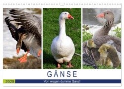 Gänse. Von wegen dumme Gans! (Wandkalender 2025 DIN A3 quer), CALVENDO Monatskalender - Rose Hurley