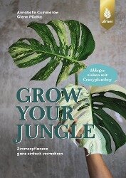 zwergpfeffer zimmerpflanze Peperomia Pflanzen Prchen kaufen  Green Me Up