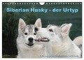 Siberian Husky - der Urtyp (Wandkalender 2024 DIN A4 quer), CALVENDO Monatskalender - Michael Ebardt